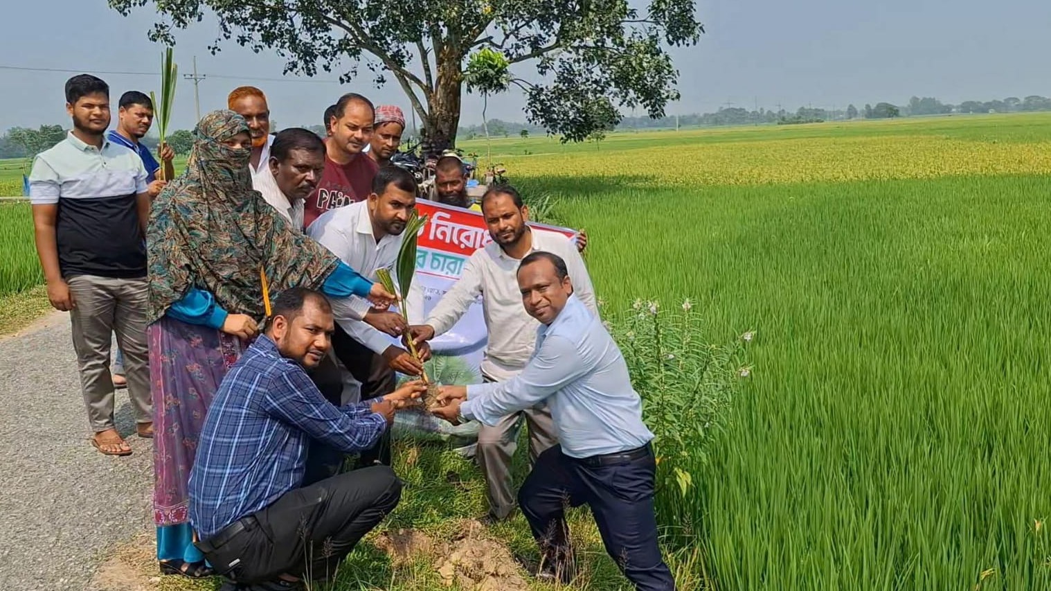 বজ্রপাত নিরোধনে জয়পুরহাটে ২০০ তালের চারা রোপণ